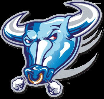 Blue Bulls 1000 images about blue bulls on Pinterest Pretoria Rugby and Top