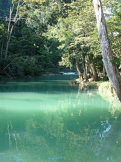 Blue Creek (Belize) httpsuploadwikimediaorgwikipediacommonsthu