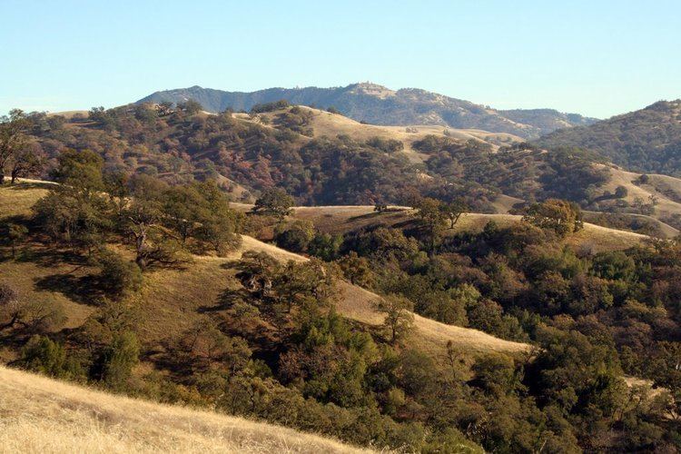 Blue Oak Ranch Reserve Panoramio Photo of Blue Oak Ranch Reserve view east of Mt Hamilton