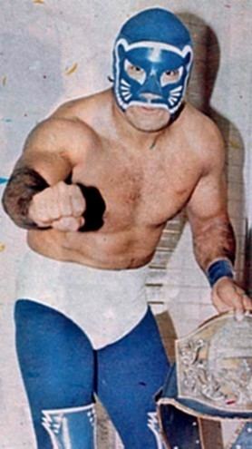 Blue Panther Blue Panther Online World of Wrestling