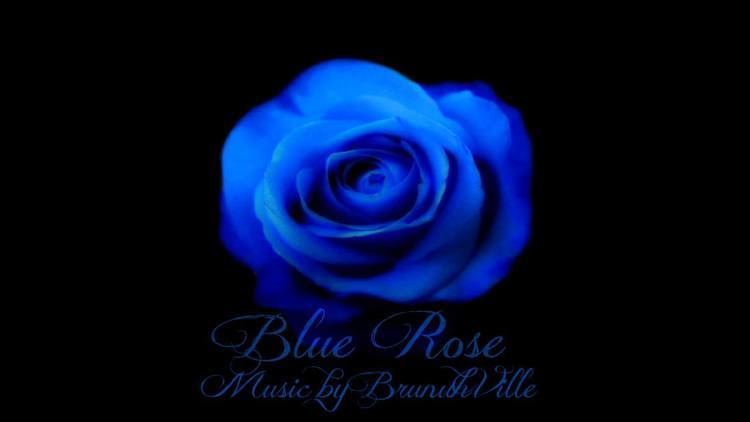 Blue rose Emotional Music Blue Rose YouTube