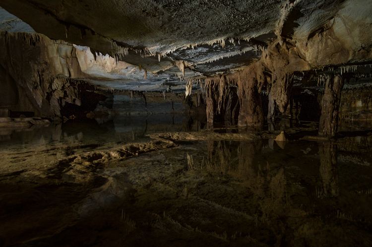 Blue Spring Cave Blue Spring Cave Outside By Nature