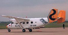 Blue Wing Airlines 2008 plane crash httpsuploadwikimediaorgwikipediacommonsthu