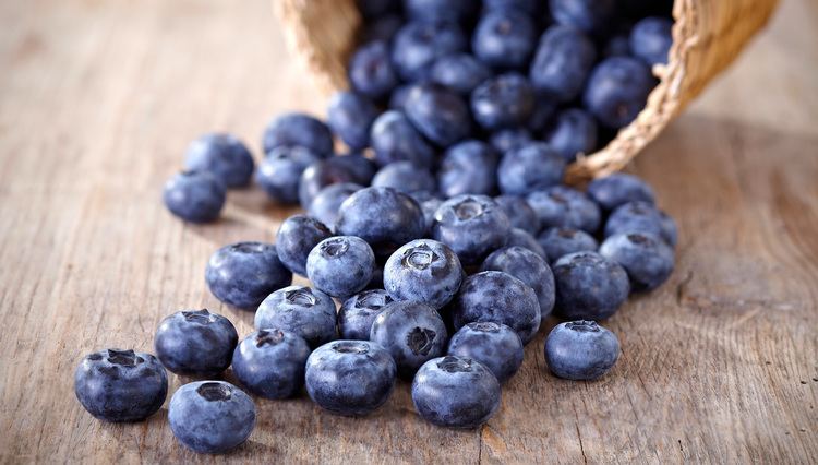 Blueberry Blueberry Nutrition US Highbush Blueberry Council