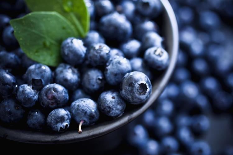 Blueberry Blueberries Health Benefits Facts Research Medical News Today