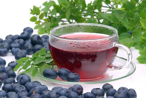 Blueberry Tea Buy Blueberry tea Benefits Side Effects How to Make Herbal Teas