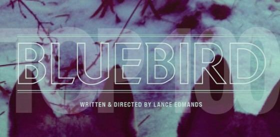 Bluebird (2013 film) Bluebird World Premiere at the 2013 Tribeca Film Festival