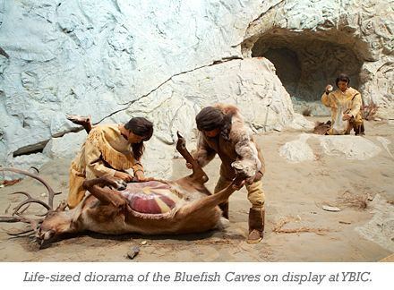 Bluefish Caves BluefishCavescaptionjpg Yukon Beringia Interpretive Centre