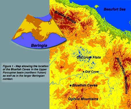 Bluefish Caves Significance of the Bluefish Caves in Beringian Prehistory Essays