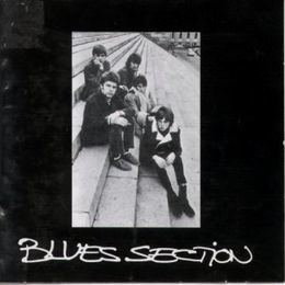 Blues Section Blues Section albumi Wikipedia