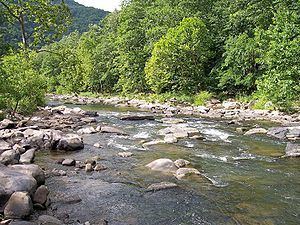 Bluestone River httpsuploadwikimediaorgwikipediacommonsthu