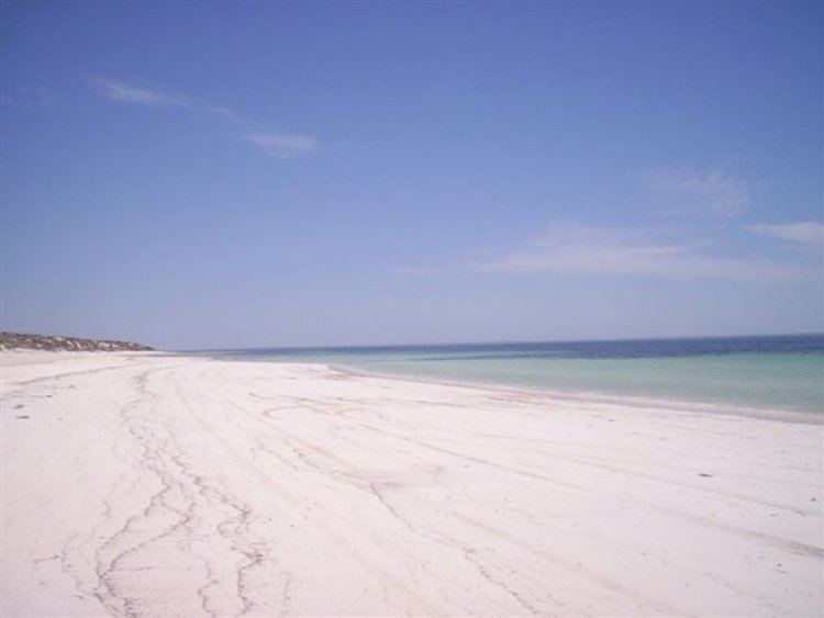 Bluff Beach, South Australia httpsi2aureastaticnet800x6005b6aaaf586c224
