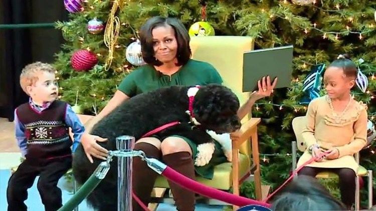 Bo (dog) Michelle Obama and Bo The Dog Hilarious YouTube