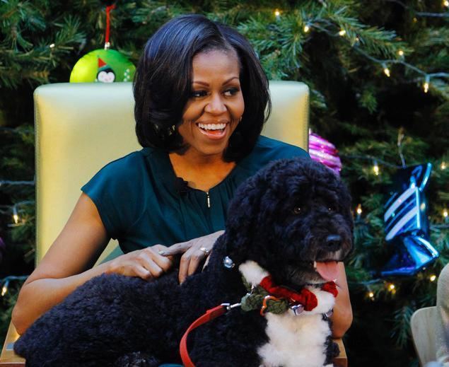 Bo (dog) Lapdog Bo joins First Lady for kids39 ward visit NY Daily News