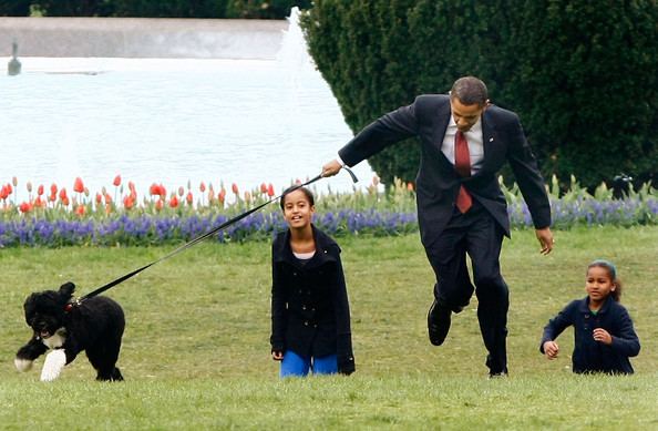 Bo (dog) Malia Obama and Bo Obama Photos Photos The White House Debuts The