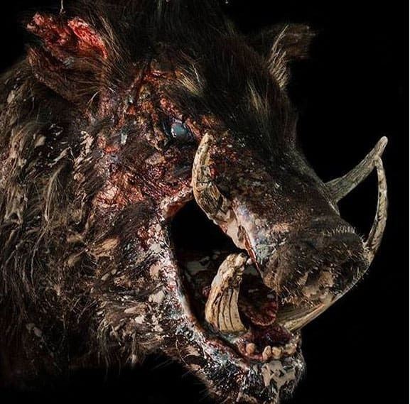 Boar (film) Aussie Horror Feature Boar Set to Film in July Dread Central