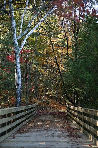 Boardman Lake Trail - Alchetron, The Free Social Encyclopedia