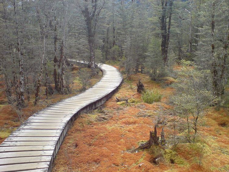 Boardwalk