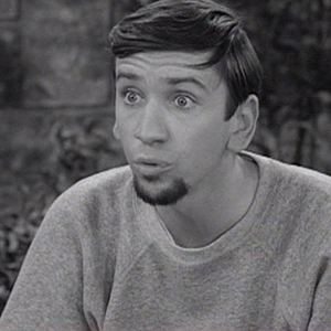 Bob Denver 10 things you probably didnt know about Bob Denver