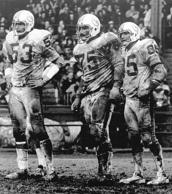 Bob Matheson Nick Buoniconti 85 Manny Fernandez 75 and Bob Matheson 53