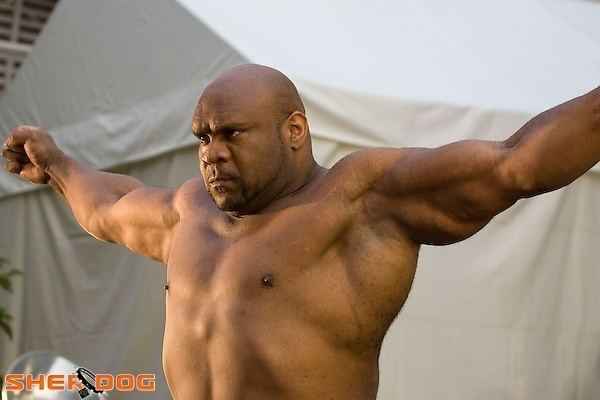 Bob Sapp Un peu comme Bob Sapp Insomnie Lyrics Meaning