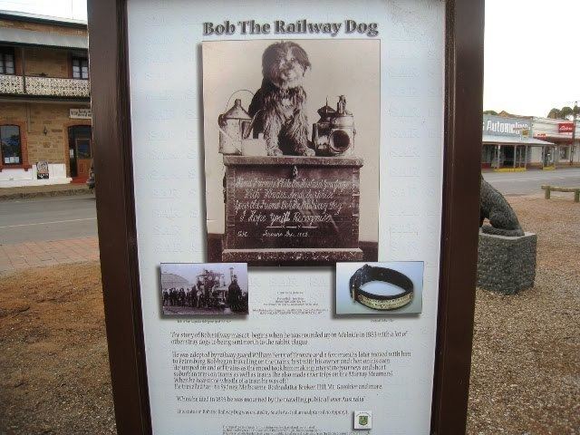 Bob the Railway Dog Bob the Railway Dog Home