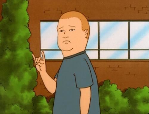 Bobby Hill (King of the Hill) King of the Hill Bobby bobby hill savannacassimus