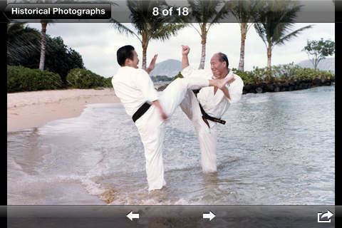 Bobby Lowe My Kyokushin Life Shihan Bobby Lowe on the App Store