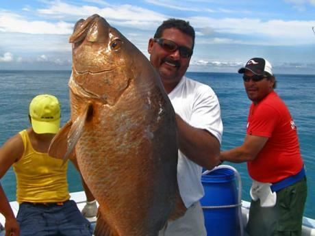 Bobby McGuinness Golfito Sportfishing Pesca Deportiva Golfito Bobby Mcguinness