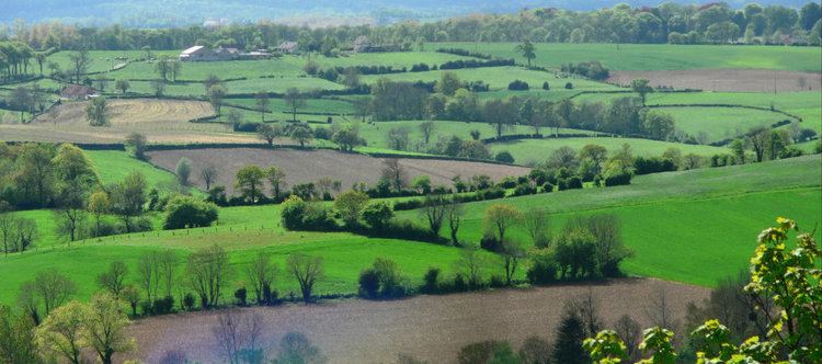 Bocage FileBocage boulonnaisjpg Wikimedia Commons