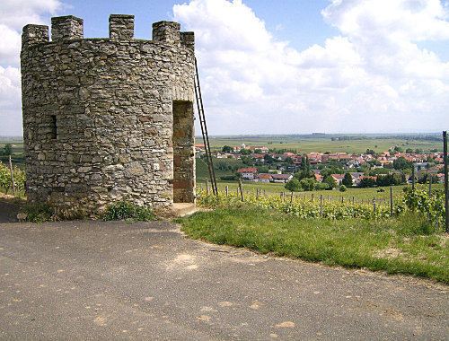 Bockenheim an der Weinstraße staticferienwohnungendefotos6704umgebungjpg