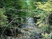 Bode (river) httpsuploadwikimediaorgwikipediacommonsthu
