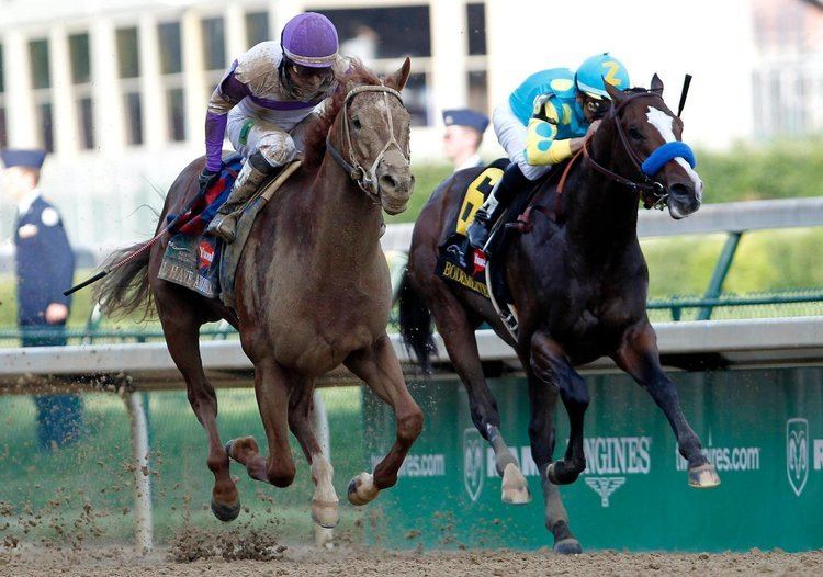 Bodemeister Bodemeister Is a Preakness Favorite The New York Times