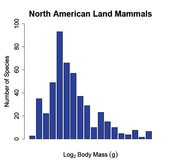 Body size and species richness