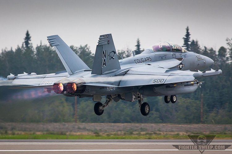 Boeing EA-18G Growler Burner Friday Boeing EA18G Growler Video Fighter Sweep