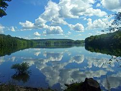 Bog Brook Reservoir httpsuploadwikimediaorgwikipediacommonsthu
