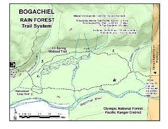 Bogachiel River Olympic National Forest Bogachiel Rain Forest Trail 825