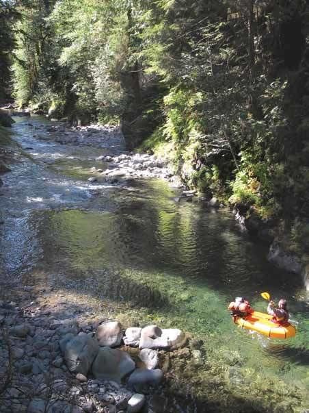 Bogachiel River A Big Tree Adventure in Bogachiel Valley American Forests
