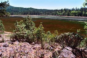 Boggs Lake Ecological Reserve httpsuploadwikimediaorgwikipediacommonsthu
