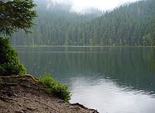 Bohemian Forest httpsuploadwikimediaorgwikipediacommonsthu
