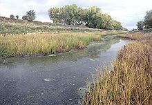 Bois de Sioux River httpsuploadwikimediaorgwikipediacommonsthu