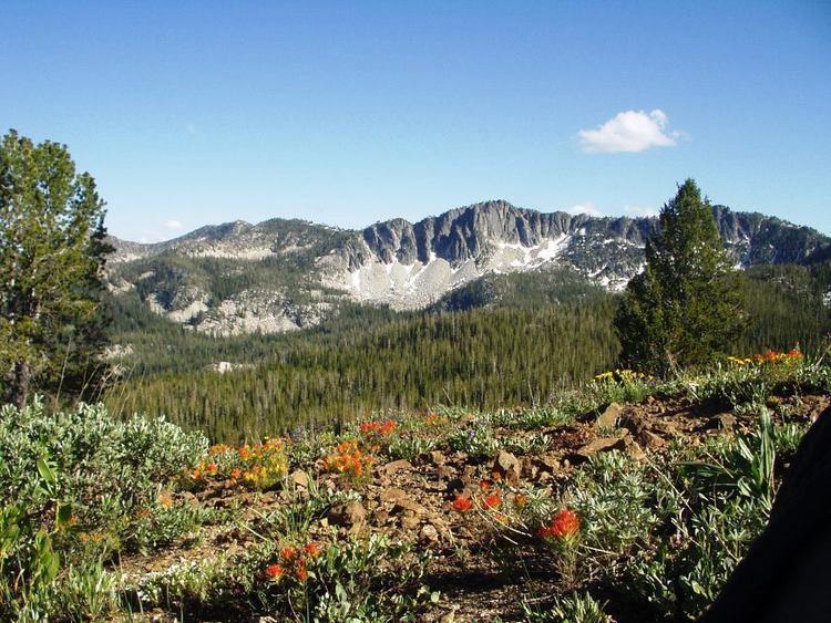 Boise National Forest