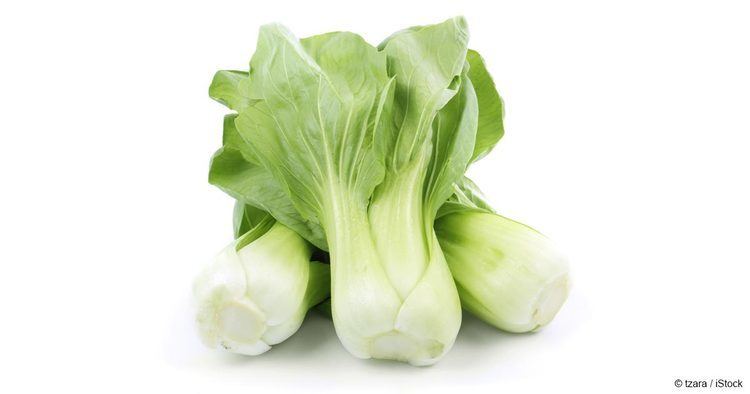 Bok choy What Is Bok Choy Good For Mercolacom
