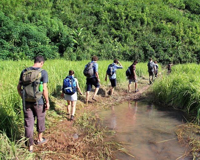 Bokeo Nature Reserve Bokeo Nature Reserve Laos Part 1 Endless Loop Photography