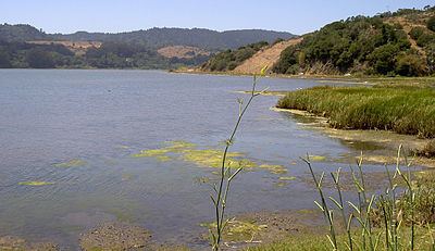 Bolinas Lagoon httpsuploadwikimediaorgwikipediacommonsthu
