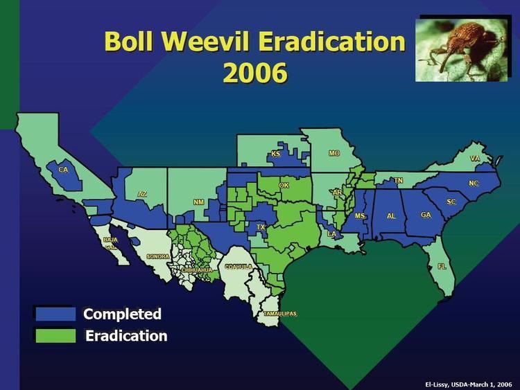 Boll Weevil Eradication Program