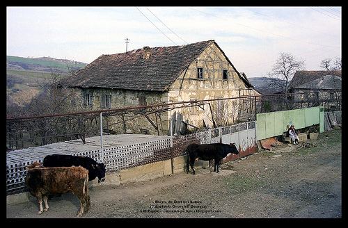 Bolnisi caucasus pictures Bilder aus dem Kaukasus
