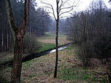 Bomlitz (river) httpsuploadwikimediaorgwikipediacommonsthu