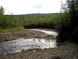 Bonanza Creek httpsuploadwikimediaorgwikipediacommonsthu