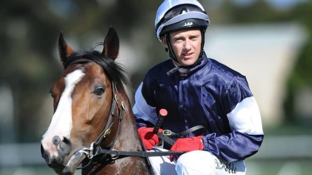 Bondi Beach (horse) Brett Prebble to ride Irish horse Bondi Beach in Melbourne Cup